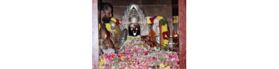 புன்னை நல்லூர் மாரியம்மன் - தமிழ்நாடு
